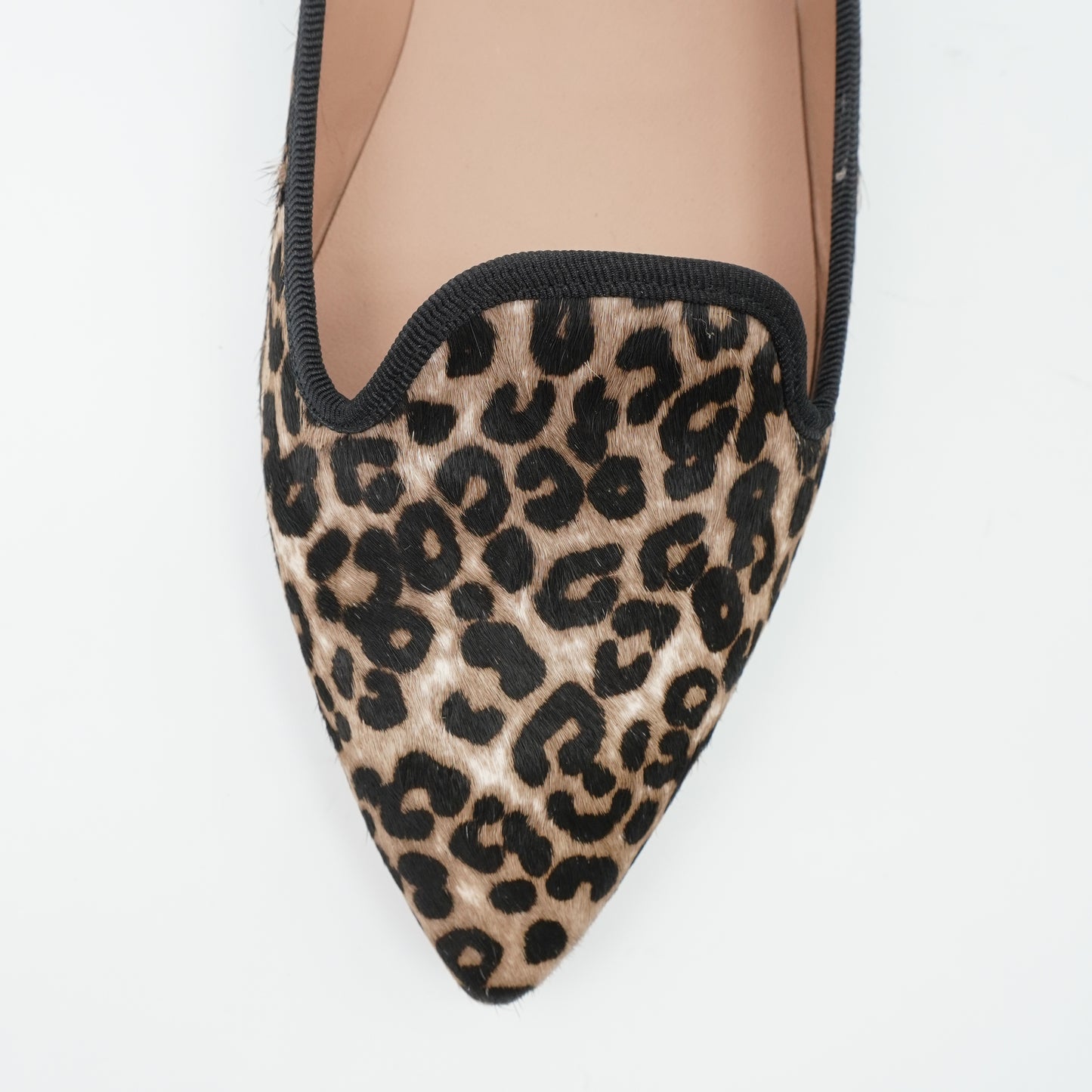 Pointy Loafer Leo
